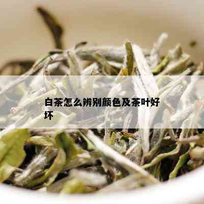 白茶怎么辨别颜色及茶叶好坏