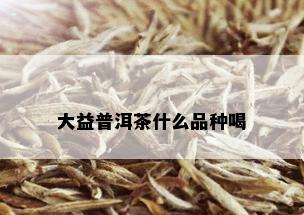 大益普洱茶什么品种喝