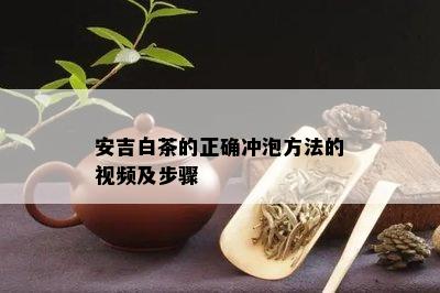 安吉白茶的正确冲泡方法的视频及步骤