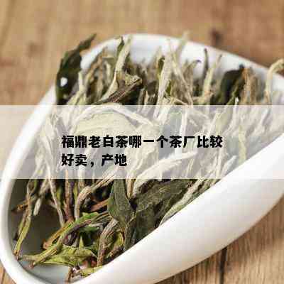 福鼎老白茶哪一个茶厂比较好卖，产地