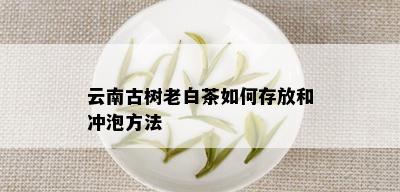 云南古树老白茶如何存放和冲泡方法