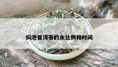 焖泡普洱茶的水比例和时间