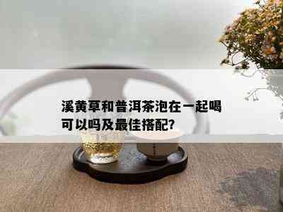 溪黄草和普洱茶泡在一起喝可以吗及更佳搭配？