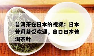 普洱茶在日本的视频：日本普洱茶受欢迎，出口日本普洱茶叶