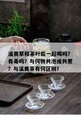 溪黄草和茶叶能一起喝吗？有吗？与何物共泡或共煮？与溪黄茶有何区别？