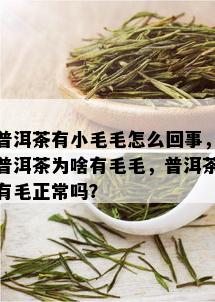 普洱茶有小毛毛怎么回事，普洱茶为啥有毛毛，普洱茶有毛正常吗？