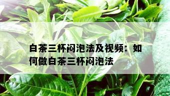 白茶三杯闷泡法及视频：如何做白茶三杯闷泡法