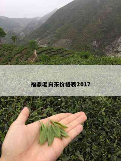 福鼎老白茶价格表2017