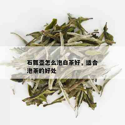 石瓢壶怎么泡白茶好，适合泡茶的好处