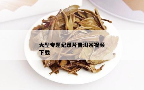 大型专题纪录片普洱茶视频下载