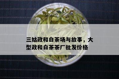 三姑政和白茶场与故事，大型政和白茶茶厂批发价格