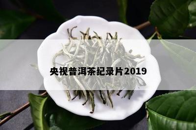 央视普洱茶纪录片2019