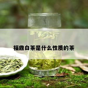 福鼎白茶是什么性质的茶