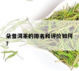 朵普洱茶的排名和评价如何？