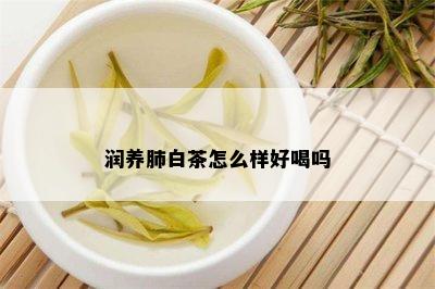 润养肺白茶怎么样好喝吗