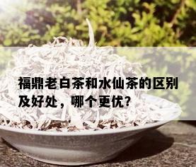 福鼎老白茶和水仙茶的区别及好处，哪个更优？