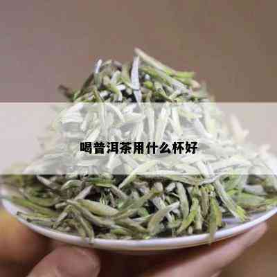 喝普洱茶用什么杯好