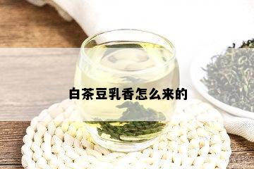 白茶豆乳香怎么来的