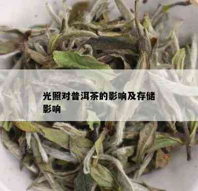 光照对普洱茶的影响及存储影响