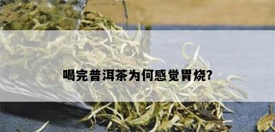 喝完普洱茶为何感觉胃烧？