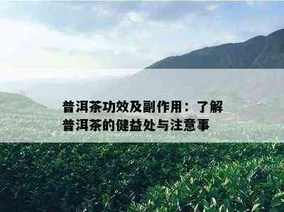 普洱茶功效及副作用：了解普洱茶的健益处与注意事