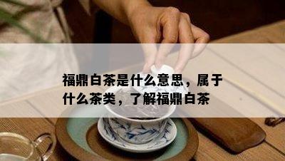 福鼎白茶是什么意思，属于什么茶类，了解福鼎白茶