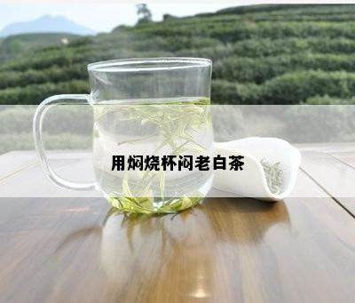 用焖烧杯闷老白茶