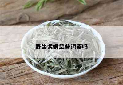 野生紫娟是普洱茶吗