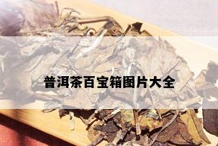 普洱茶百宝箱图片大全