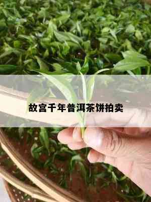 故宫千年普洱茶饼拍卖