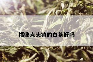 福鼎点头镇的白茶好吗