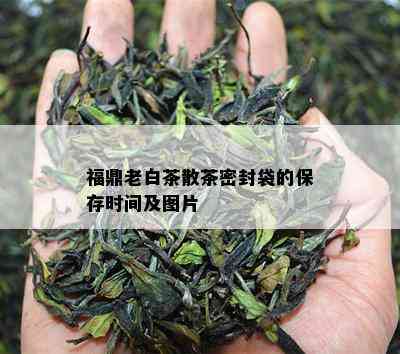 福鼎老白茶散茶密封袋的保存时间及图片