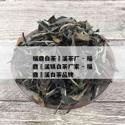 福鼎白茶磻溪茶厂 - 福鼎磻溪镇白茶厂家 - 福鼎磻溪白茶品牌