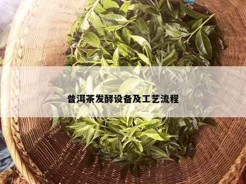 普洱茶发酵设备及工艺流程