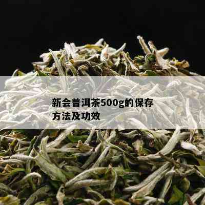 新会普洱茶500g的保存方法及功效