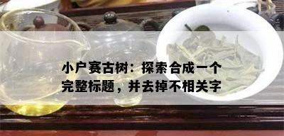 小户赛古树：探索合成一个完整标题，并去掉不相关字