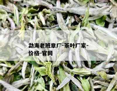 勐海老班章厂-茶叶厂家-价格-官网