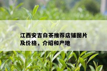 江西安吉白茶推荐店铺图片及价格，介绍和产地