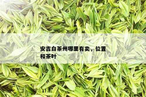 安吉白茶州哪里有卖，位置和茶叶