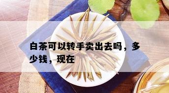 白茶可以转手卖出去吗，多少钱，现在