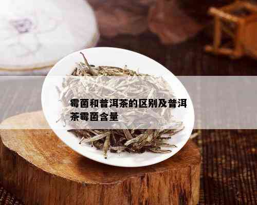 霉菌和普洱茶的区别及普洱茶霉菌含量