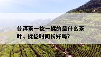 普洱茶一捻一揉的是什么茶叶，揉捻时间长好吗？