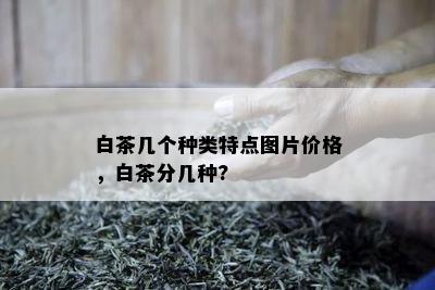 白茶几个种类特点图片价格，白茶分几种?