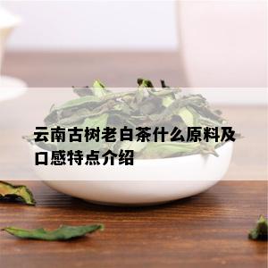 云南古树老白茶什么原料及口感特点介绍