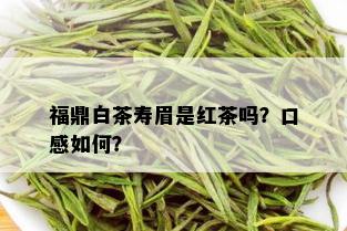 福鼎白茶寿眉是红茶吗？口感如何？