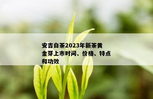 安吉白茶2023年新茶黄金芽上市时间、价格、特点和功效