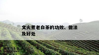 文火煮老白茶的功效、做法及好处