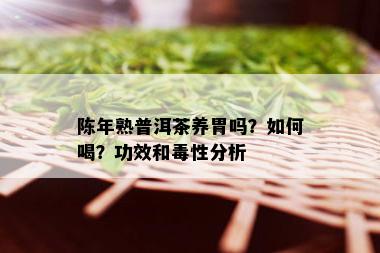 陈年熟普洱茶养胃吗？如何喝？功效和性分析