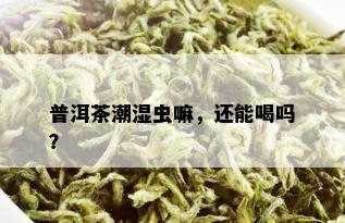 普洱茶潮湿虫嘛，还能喝吗？