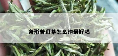 条形普洱茶怎么泡更好喝